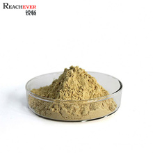 100% Natural Green Tea Extract 90% Tea Polyphenols with High Quality